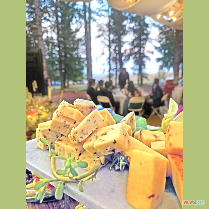 WOW-Sharlee-amey-cheese-bkgnd-1